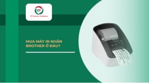 Mua máy in nhãn Brother ở đâu?
