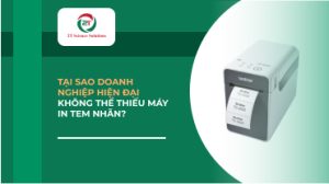 Tại sao doanh nghiệp hiện đại không thể thiếu máy in tem nhãn?